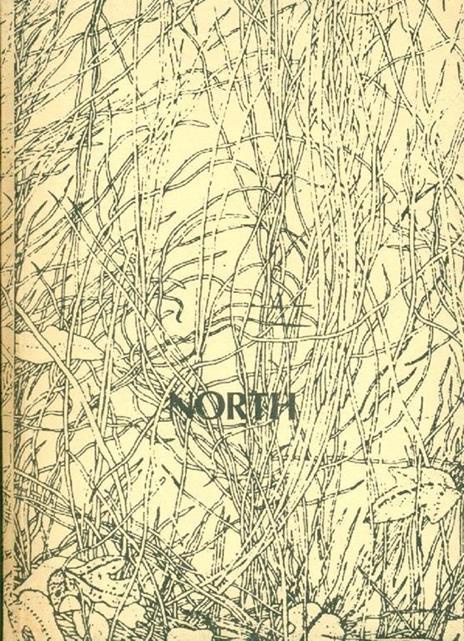 North. Laboratorio di poesia e sperimentazione visiva - copertina