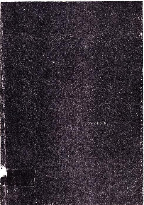 Non visibile - copertina