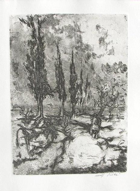 Sonetti. Sollicitae. Oblivia. Vitae - Ugo Foscolo - 2