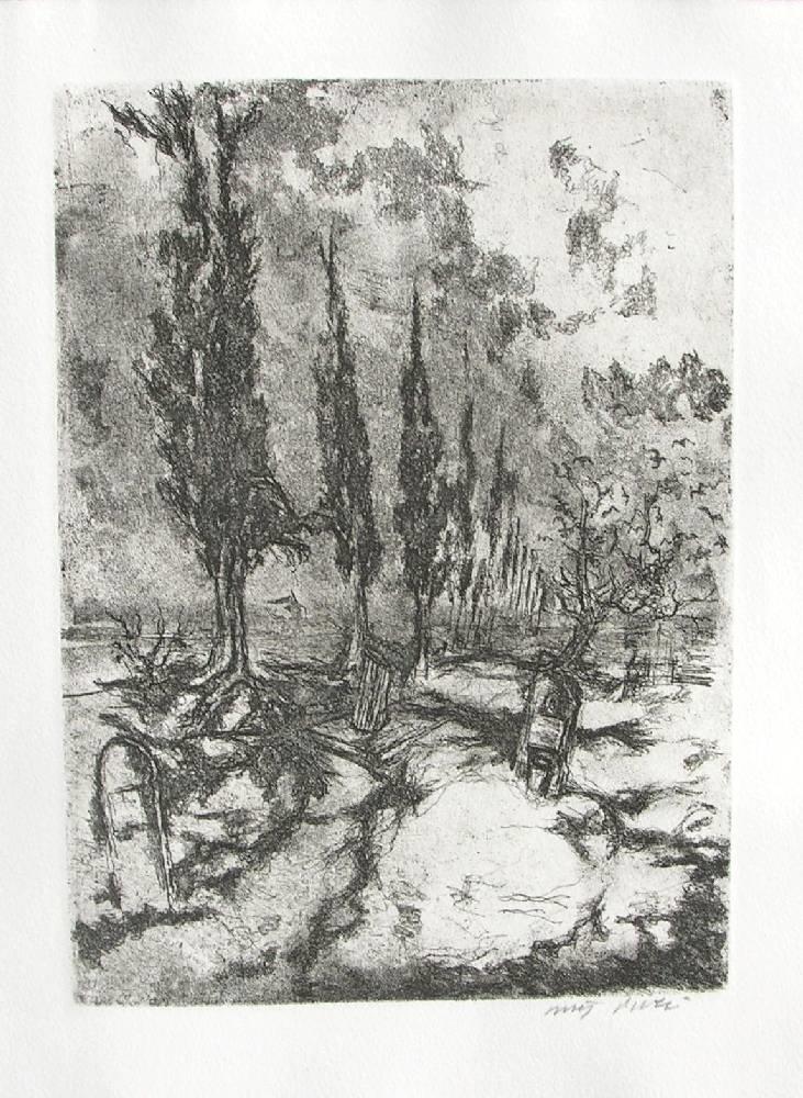 Studio Bibliografico Marini