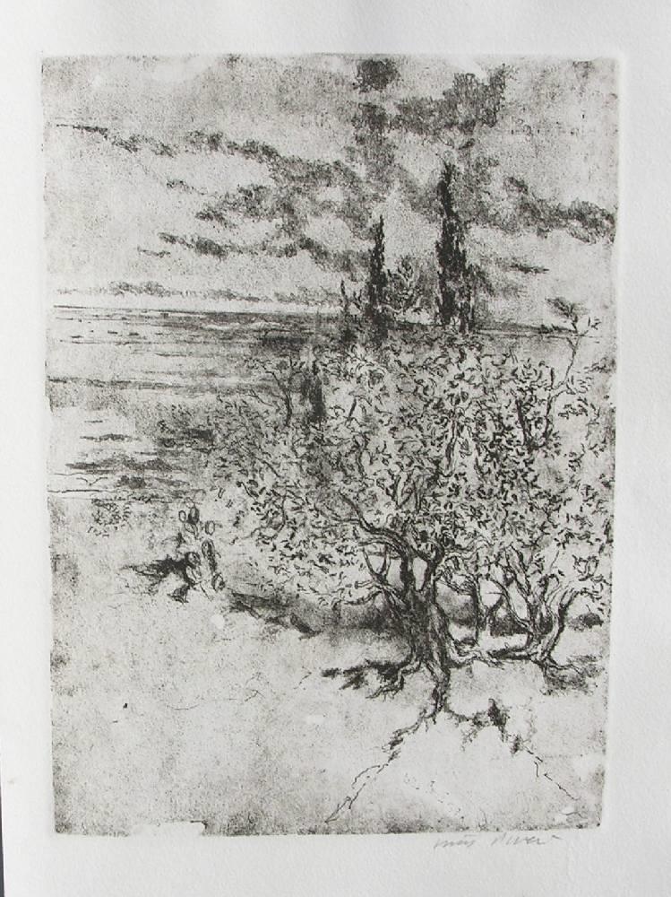 Sonetti. Sollicitae. Oblivia. Vitae