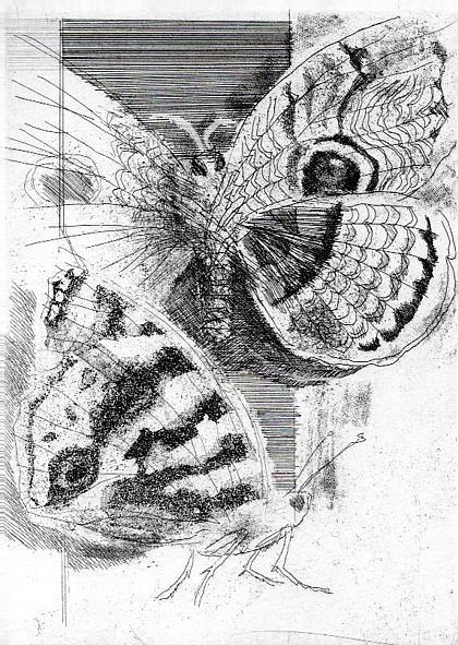 Bestiario - Alberto Vigevani - 3