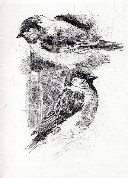 Bestiario - Alberto Vigevani - 4