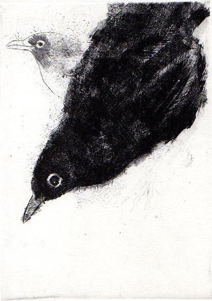 Bestiario - Alberto Vigevani - 5