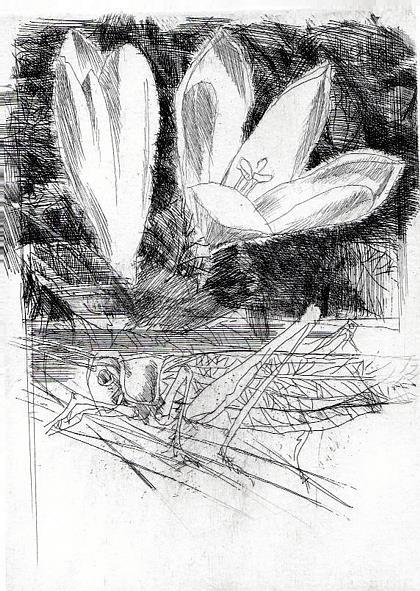 Bestiario - Alberto Vigevani - 6