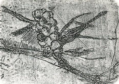 Giornata con Bartolini - Dino Garrone - 8