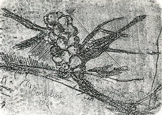 Giornata con Bartolini - Dino Garrone - 8