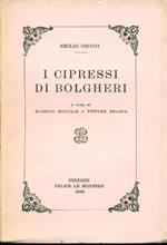I cipressi di Bolgheri