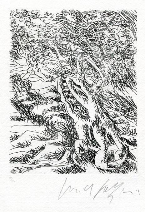 Terrasanta - Giovanni Fallani - 3