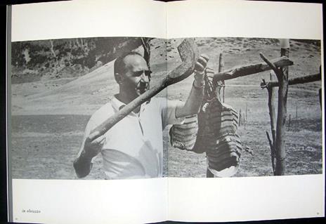 Remo Brindisi una figurazione panica - Remo Brindisi - 2