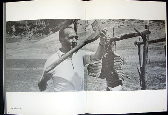 Remo Brindisi una figurazione panica - Remo Brindisi - 2