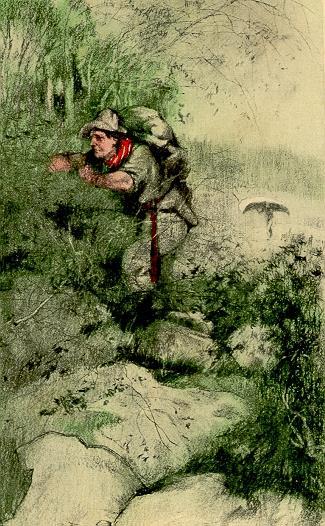 The forest - Stewart Edward White - 2