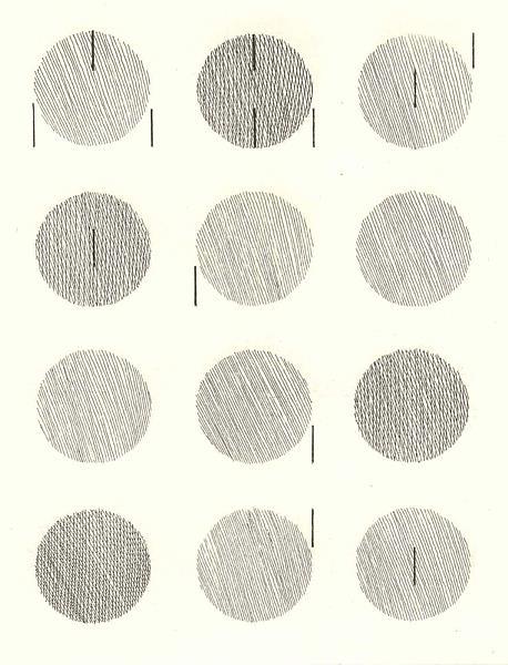 Sei poesie per un romanzo - Cesare Vivaldi - copertina