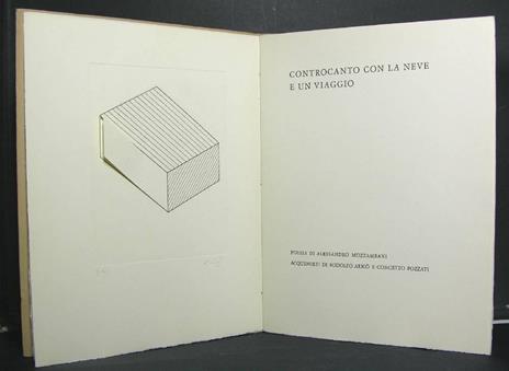 Controcanto con la neve e un viaggio - Alessandro Mozzambani - 2