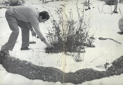 Cavaliere - Alik Cavaliere - copertina