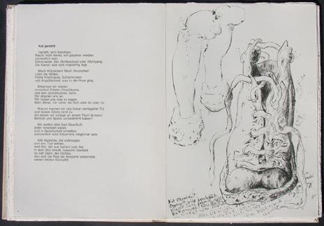 Mit Sophie in die Pilze gegangen - Günter Grass - 9