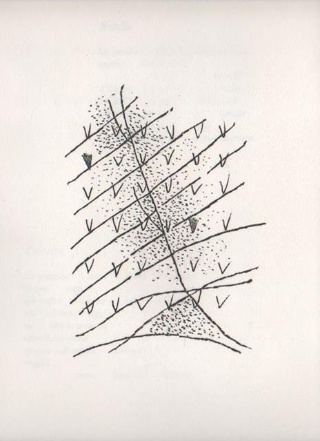 Staras - Guido Ballo - 5