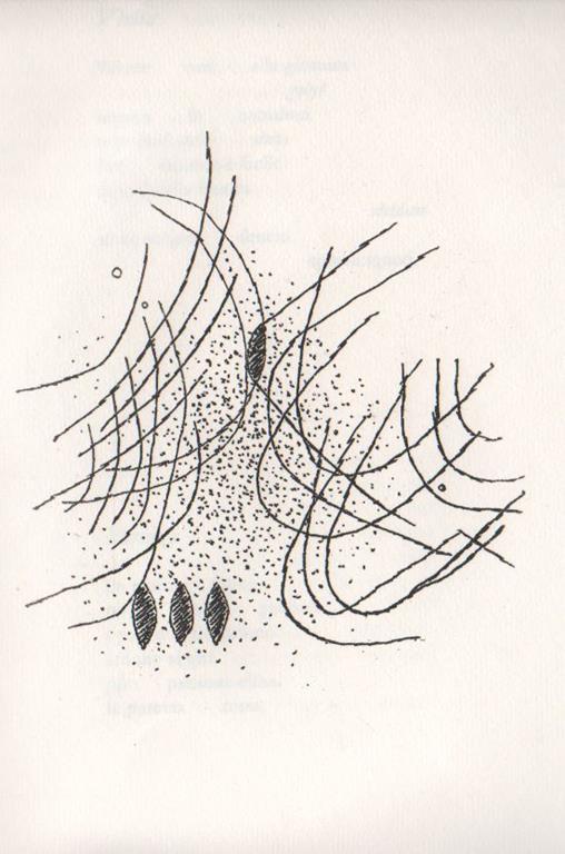 Staras - Guido Ballo - 10