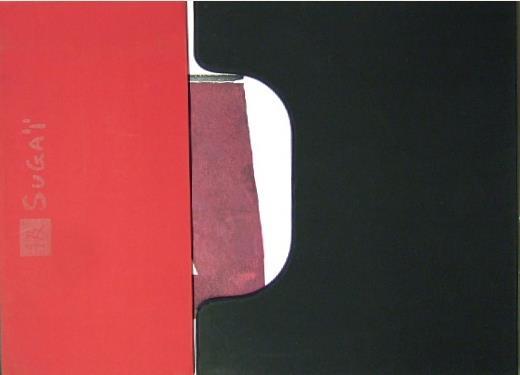 Sugai ou la tension maxima - Kumi Sugai - 5