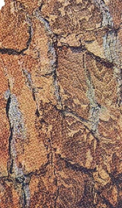 Cassandra Wood - Paolo Greco - copertina