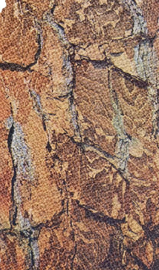 Studio Bibliografico Marini