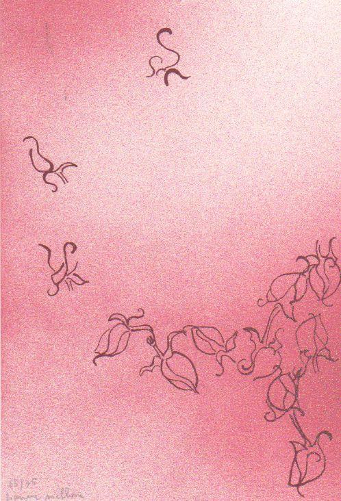 Del seme e delle sfere - Ugo Marchetti - copertina