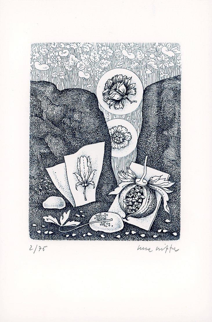 Studio Bibliografico Marini