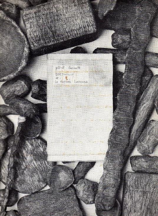 Bertholin et la matière inavouable (Documents, récits) - Gilbert Lascault - copertina