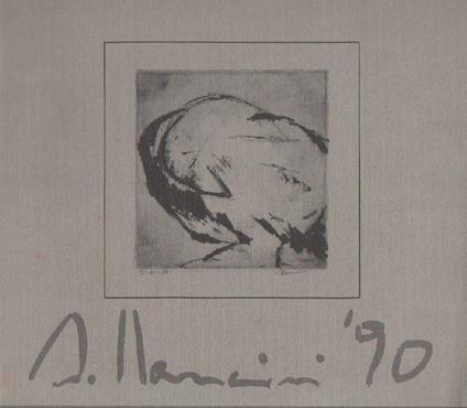 Del volo iniziato - Raffaele Gavarro - copertina