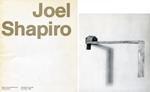 Joel Shapiro