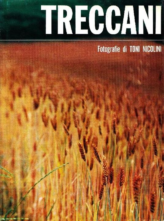Ernesto Treccani - Toni Nicolini - copertina