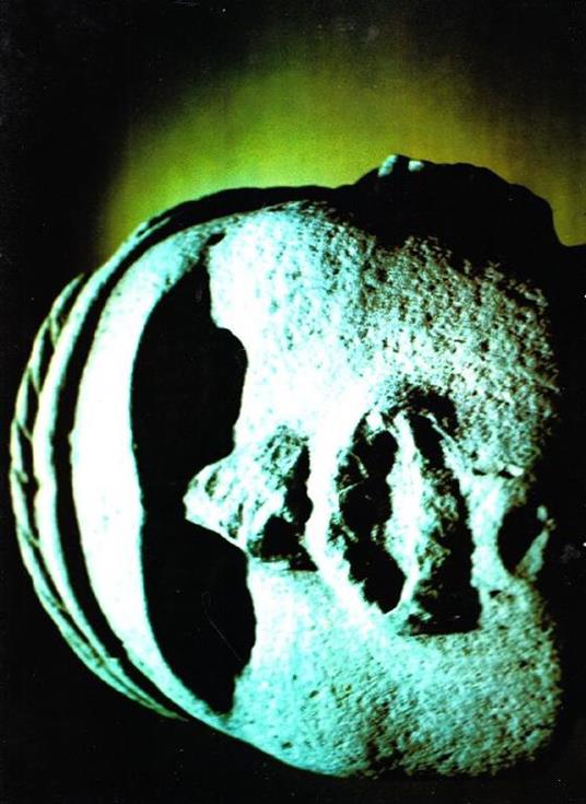 Mexico - Erwin Fieger - copertina