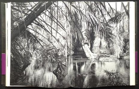 Afrika - Emil Schulthess - 3