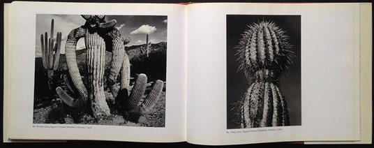 Photographs of the Southwest - Ansel Adams - 5