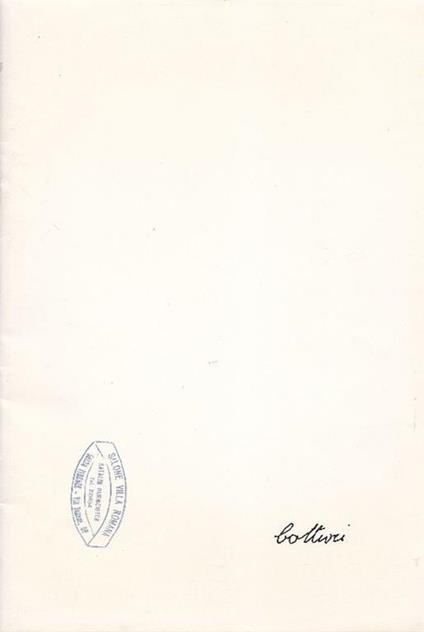 Botturi - Gino Baratta - copertina