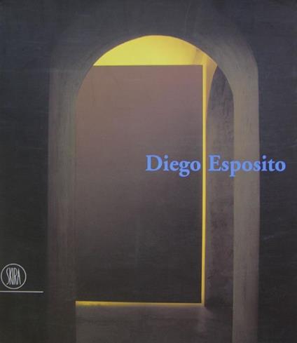 Diego Esposito. Passaggi. Ediz. trilingue - Diego Esposito - copertina