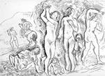 Il bosco
