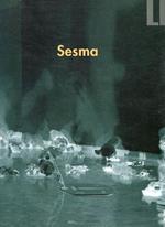 Raymundo Sesma
