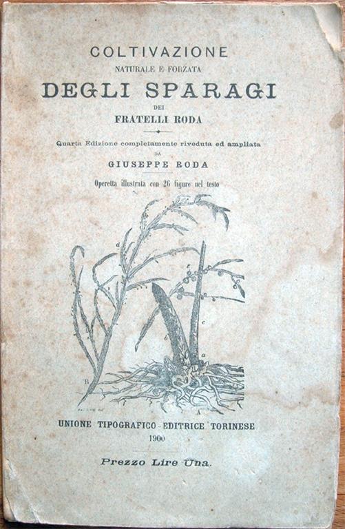 Libreria Antiquaria Mazzei