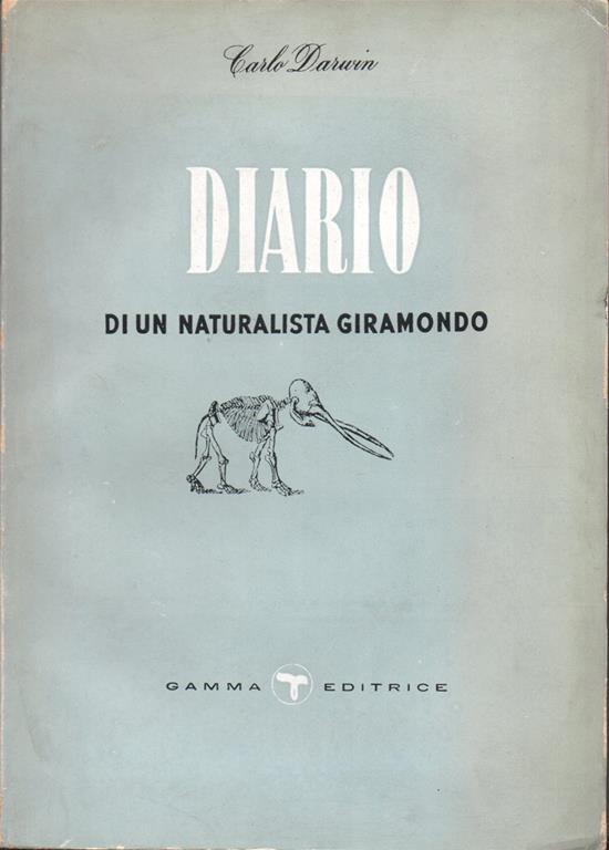 Libreria Antiquaria Mazzei