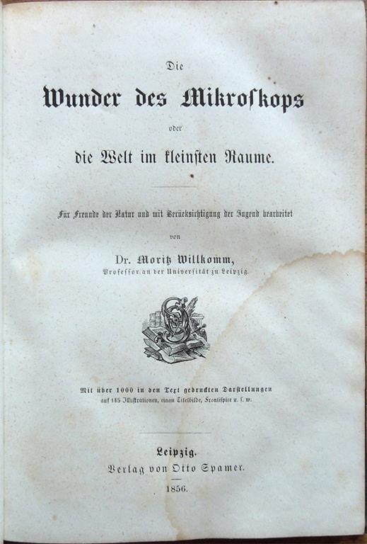 Libreria Antiquaria Mazzei