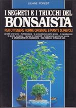 I segreti e i trucchi del bonsaista