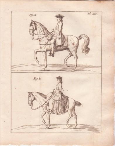 Le nouveau parfait MARECHAL, ou la connoissance generale et universelle DU CHEVAL divisè en six traitez, avec un dictionnaire des termes de chevalerie. Le tout enrichi de quarante-neuf Figures en taille-douce - copertina