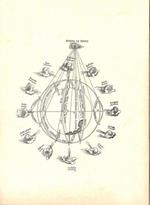 Pietro Coppo - Le Tabulae (1524-1526), vol. II