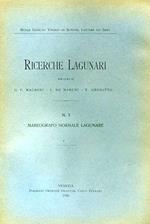 Ricerche Lagunari. N. 3: Mareografo normale lagunare