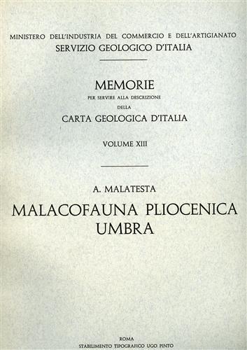 Malacofauna pliocenica umbra - Alberto Malatesta - copertina