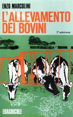 L' L' allevamento dei bovini