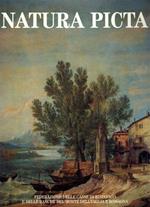 Natura picta. Paesaggio e immagini dell' Emilia Romagna nelle arti figurative, nella fotografia, nel cinema
