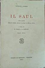 Saul-Filippo