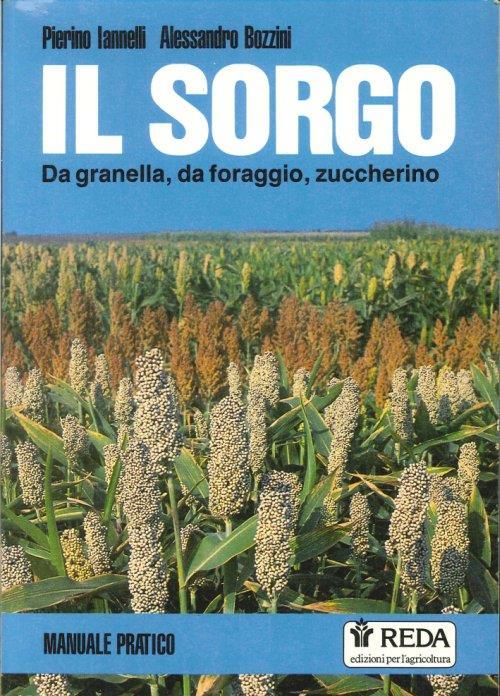 Il Sorgo. Da Granella, Da Foraggio, Zuccherino. Manuale Pratico - copertina